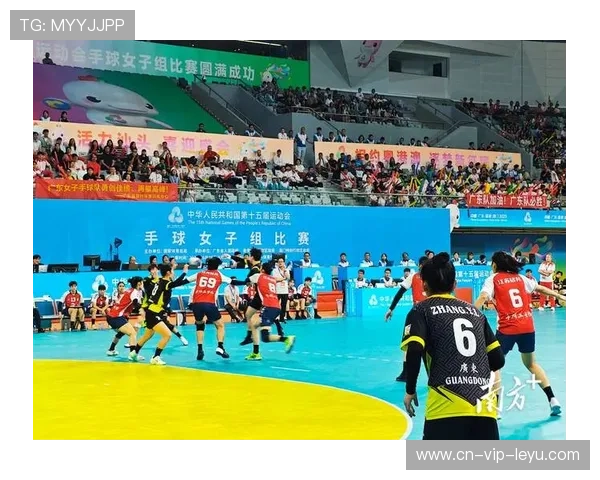 手球联赛排名战白热化，球队为保级苦战，手球职业联赛