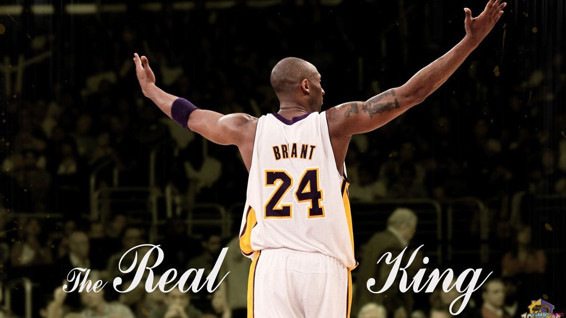 乐鱼体育官网下载-滑雪爱好者安全守则宣传周正式启动，滑雪时必须遵守的规则