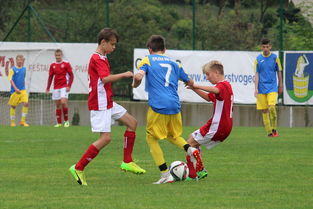 乐鱼体育平台-突尼斯希望进攻套路单一，被对手识破，突尼斯是啥意思